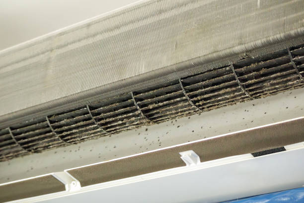 Best Dryer Vent Cleaning Services  in Fort Gibson, OK