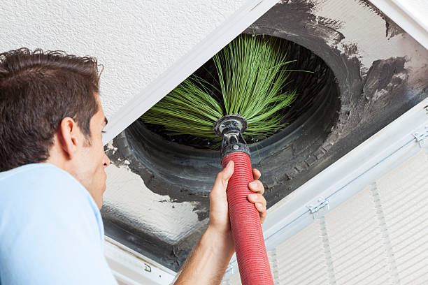 Best Air Duct Mold Removal  in Fort Gibson, OK